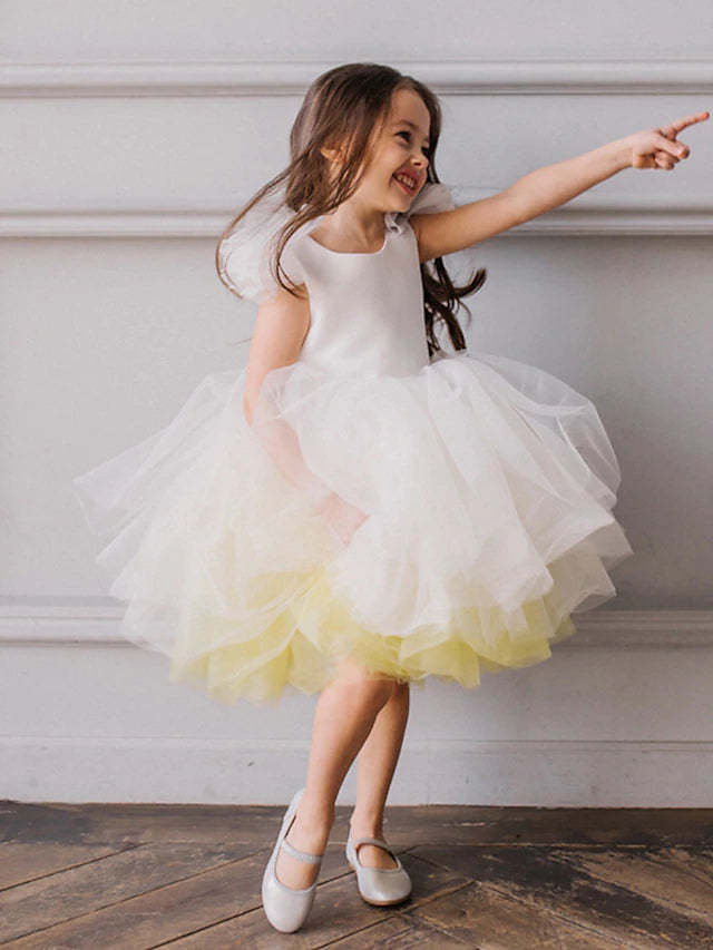 Flower Girl Dresses in Ombre Tulle Ball Gown Style with Ruffles
