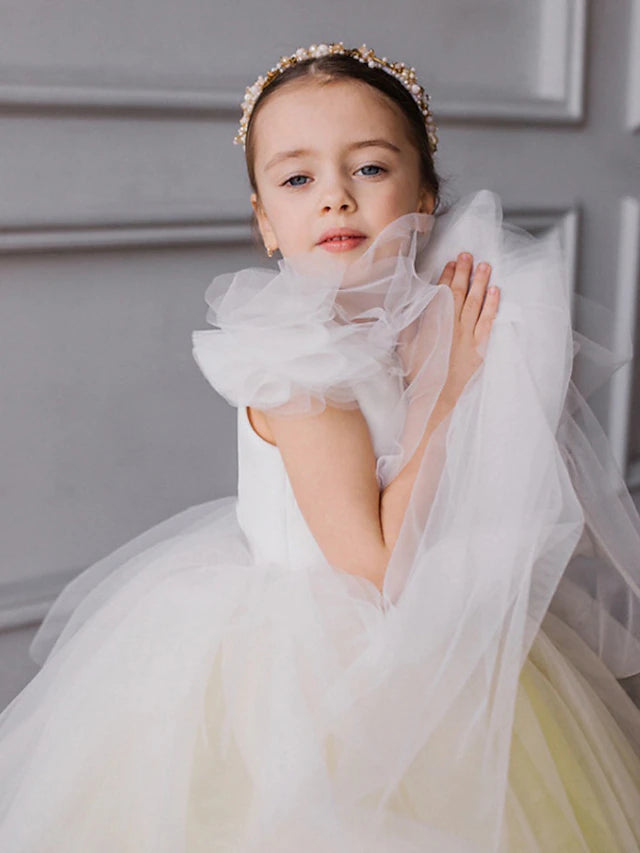 Flower Girl Dresses in Ombre Tulle Ball Gown Style with Ruffles