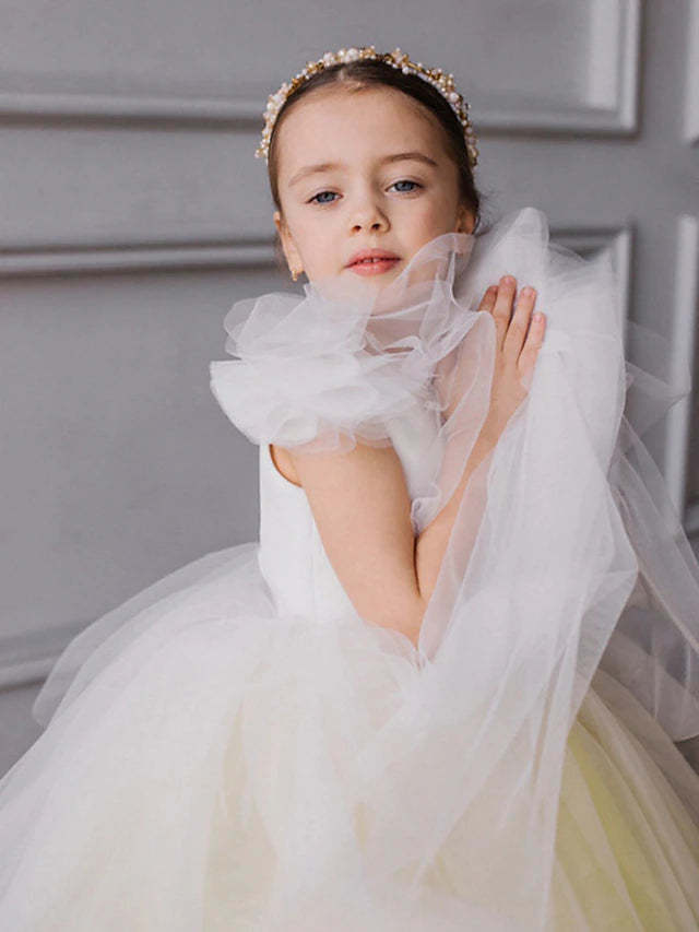Flower Girl Dresses in Ombre Tulle Ball Gown Style with Ruffles
