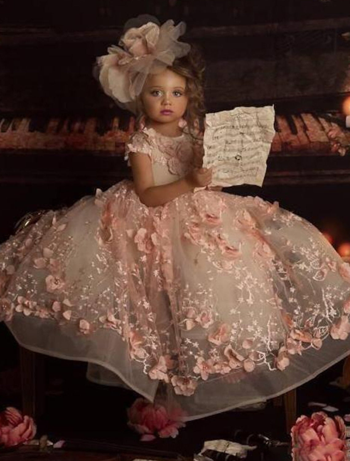 Little Girl's Floral Applique Tulle Ball Gown