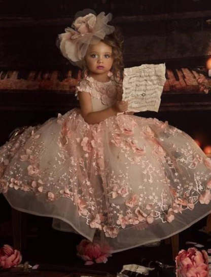 Little Girl's Floral Applique Tulle Ball Gown