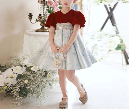 Knee-Length V-Neck Party Dress for Girls with Short Sleeves and Embroidery Appliques