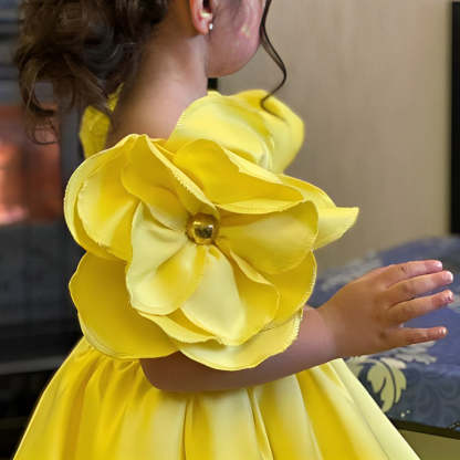 Off-the-Shoulder Sweet Ball Gown with 3D Flower and Beadings for Flower Girls