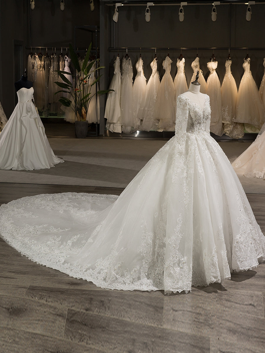 Scoop Neck Long Sleeve A-Line Princess Wedding Dress with Lace Appliques and Beading in Tulle