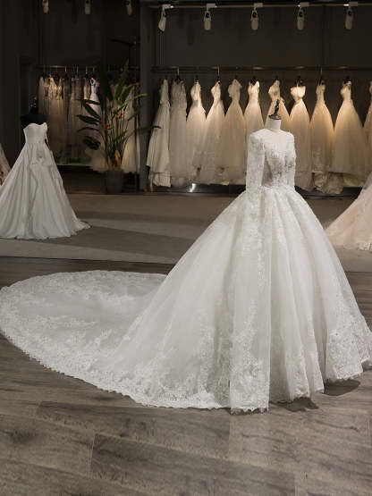 Scoop Neck Long Sleeve A-Line Princess Wedding Dress with Lace Appliques and Beading in Tulle