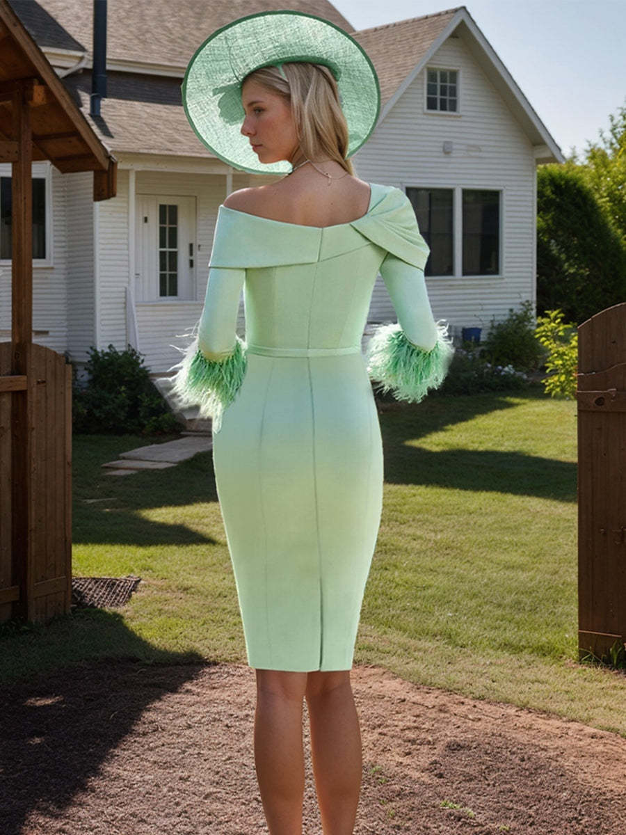 Pleated One-Shoulder 3/4 Sleeve Sheath/Column Dress with Feather for Mother of the Bride & Groom