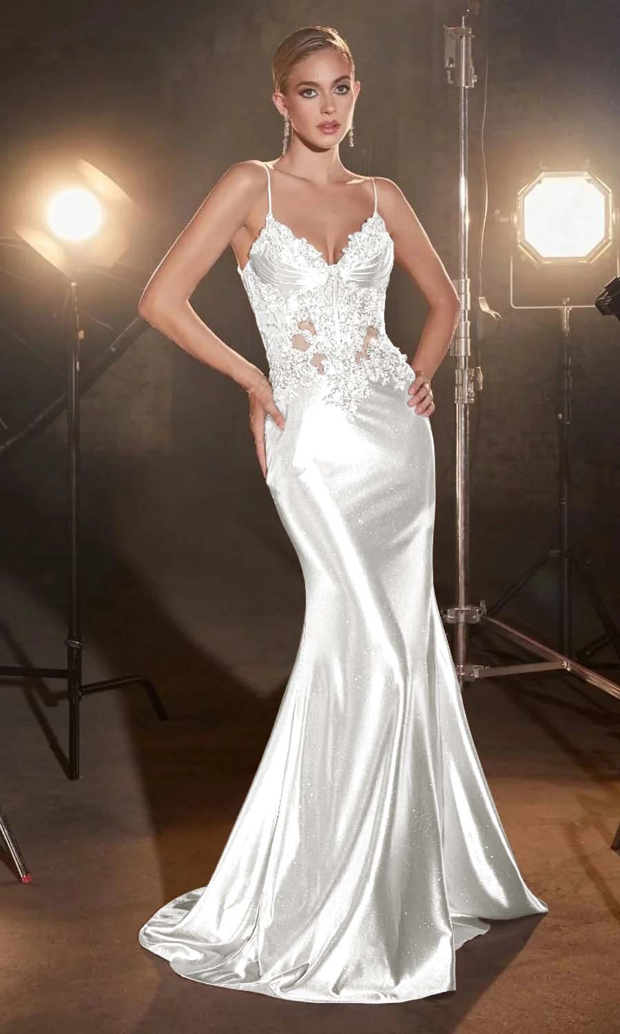 Spaghetti Strap Sleeveless Long Mermaid Prom Dress With Appliques