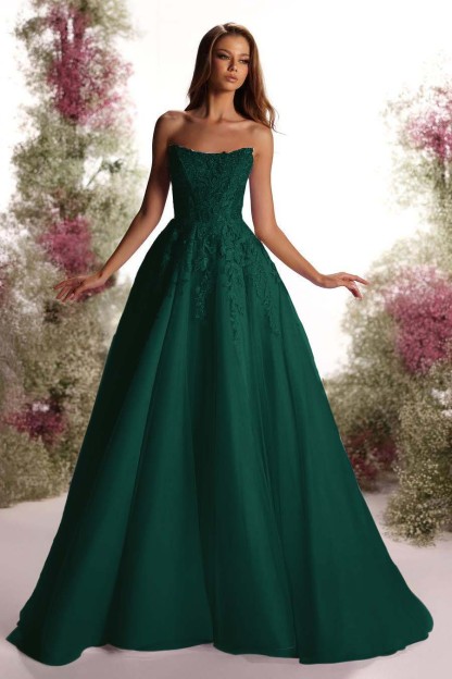 Tulle Strapless Sleeveless Long A Line Prom Dress With Appliques