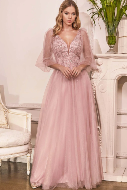 Charming Tulle V Neck Sleeveless Long Prom Dress With Appliques