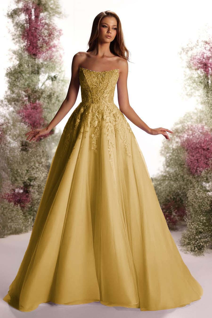 Tulle Strapless Sleeveless Long A Line Prom Dress With Appliques