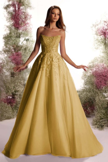 Tulle Strapless Sleeveless Long A Line Prom Dress With Appliques