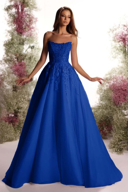 Tulle Strapless Sleeveless Long A Line Prom Dress With Appliques