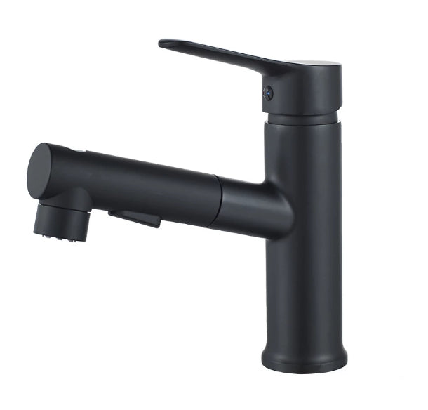 retractable spray faucet