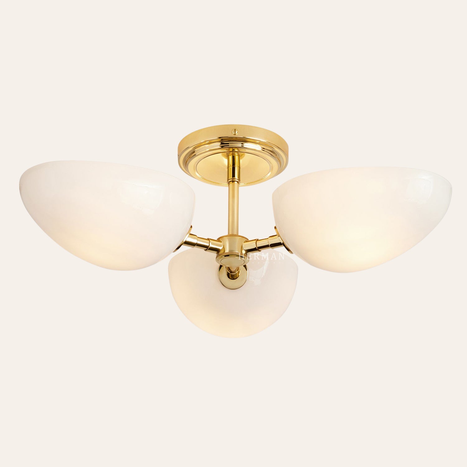 Argus Glass Semi-Flush Mount