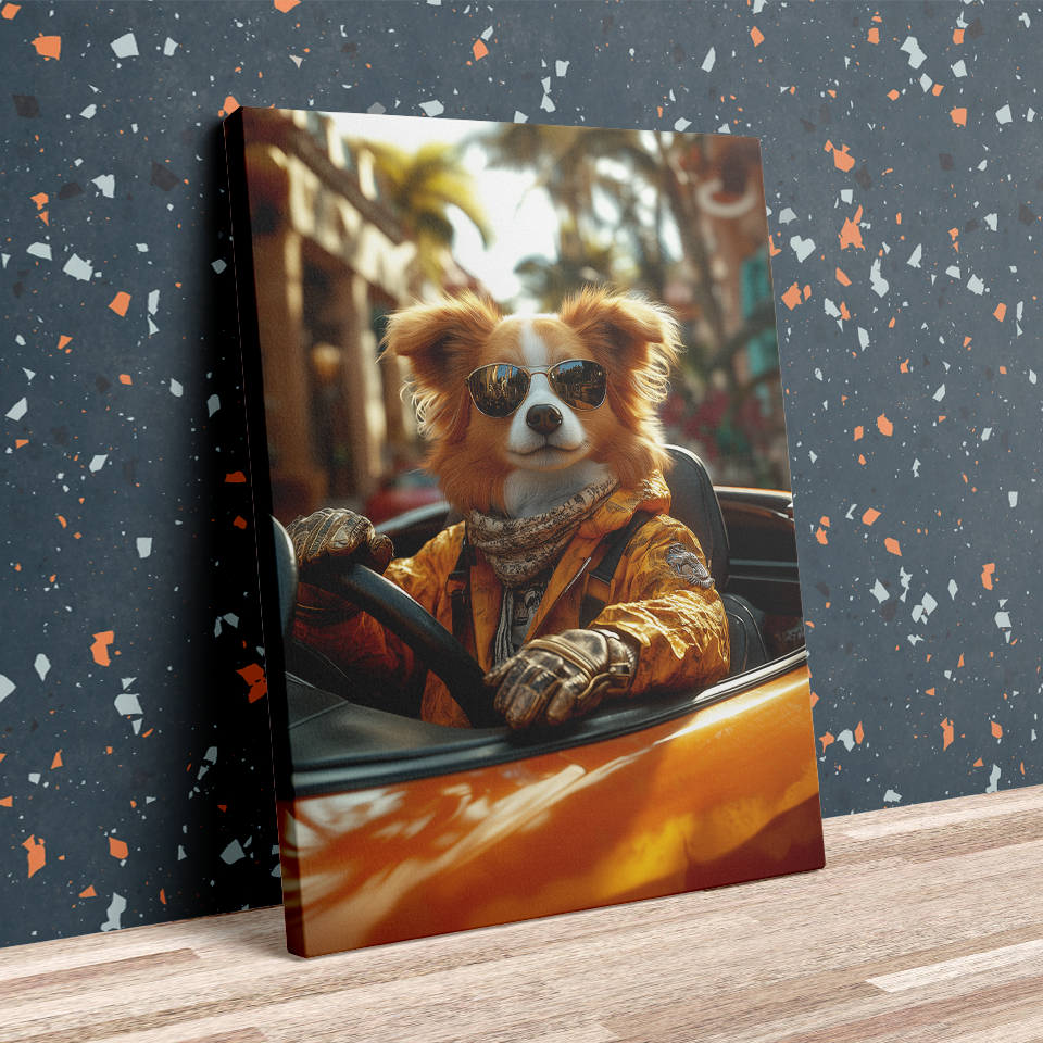 Elegant Convertible Pet