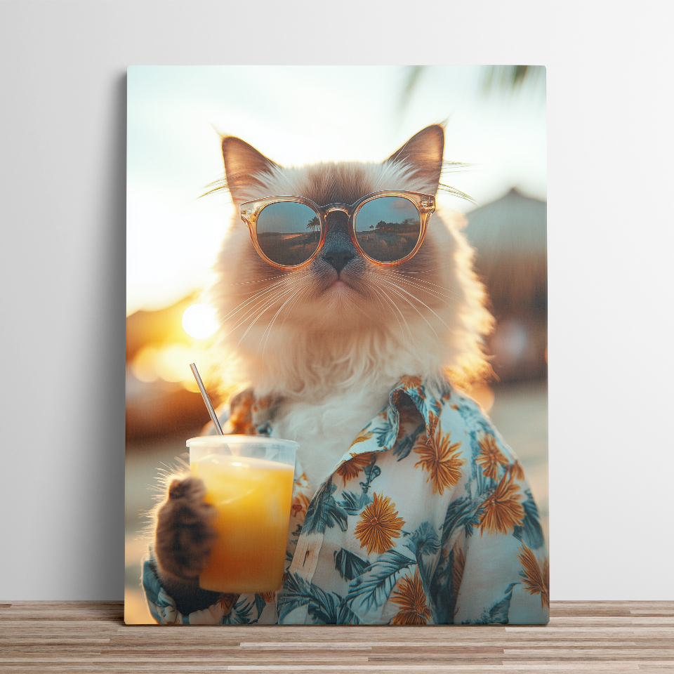 Sunset Cat Sip