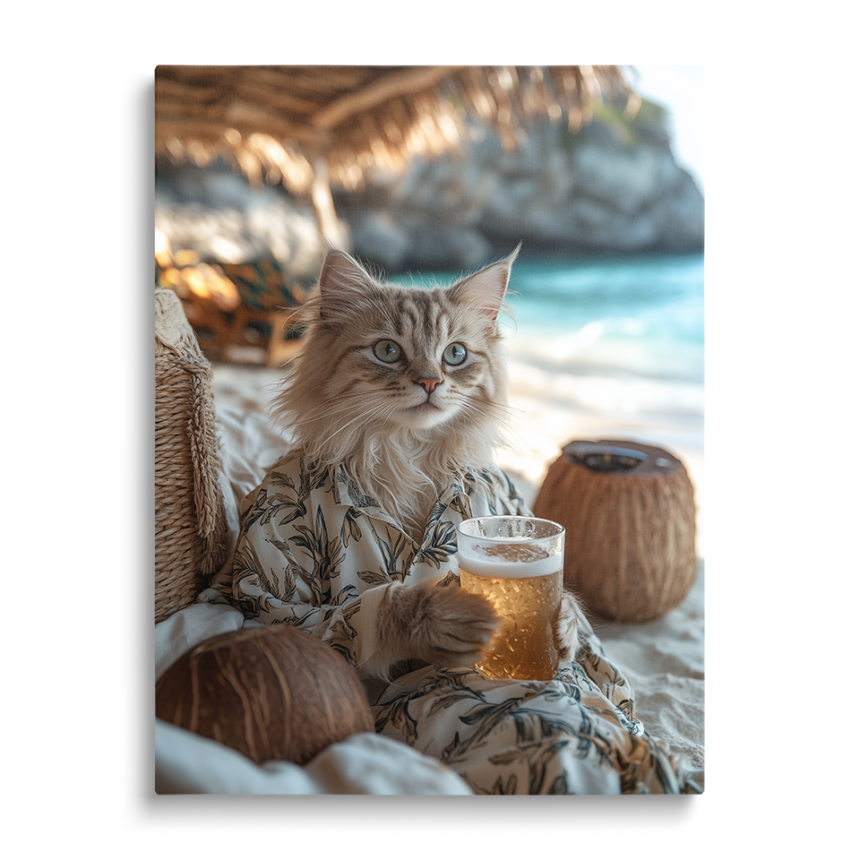 Cozy Beach Cat