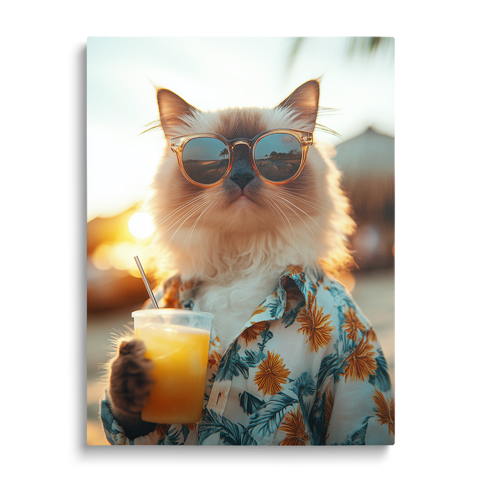 Sunset Cat Sip