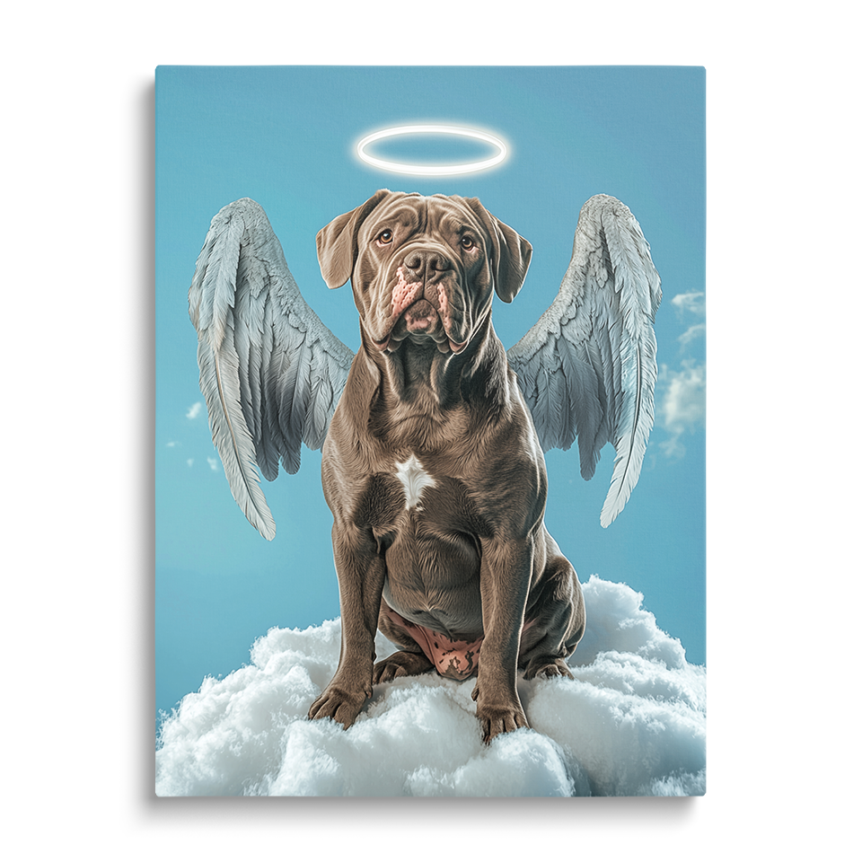 Pet in Angelic Guise