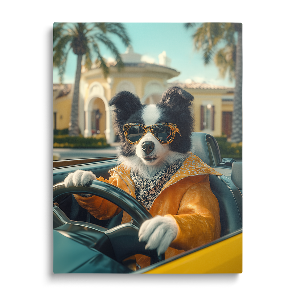 Glam Sports Car Pet