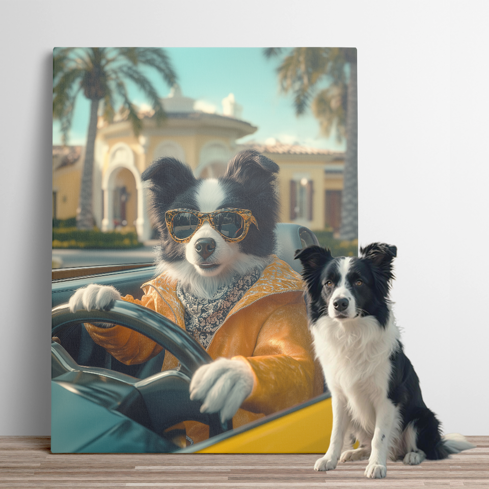 Glam Sports Car Pet