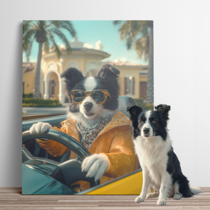 Glam Sports Car Pet