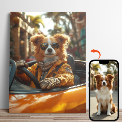 Elegant Convertible Pet