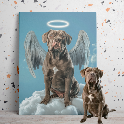 Pet in Angelic Guise