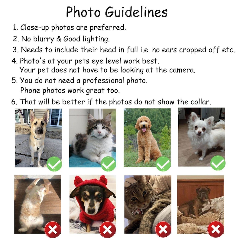 Celestial Pet Figure