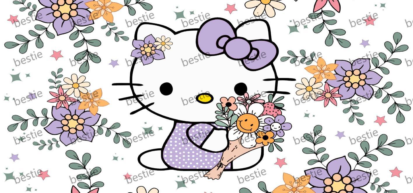 HK53-Sanrio