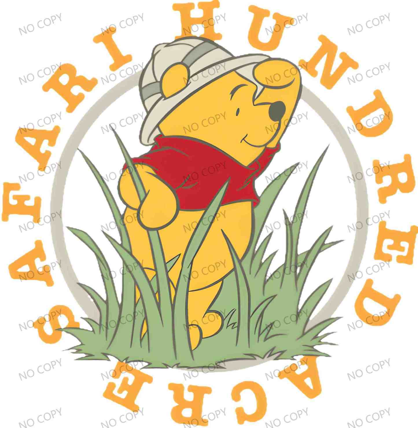 T11519-Winnie the pooh