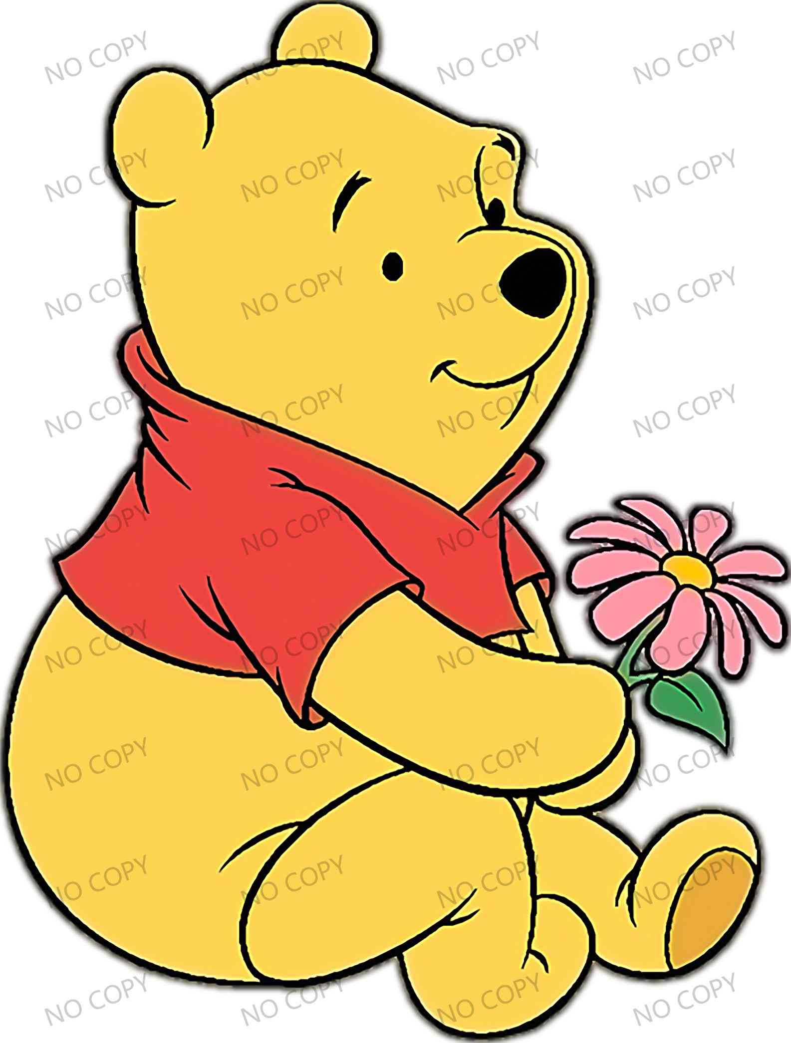 T11575-Winnie the pooh