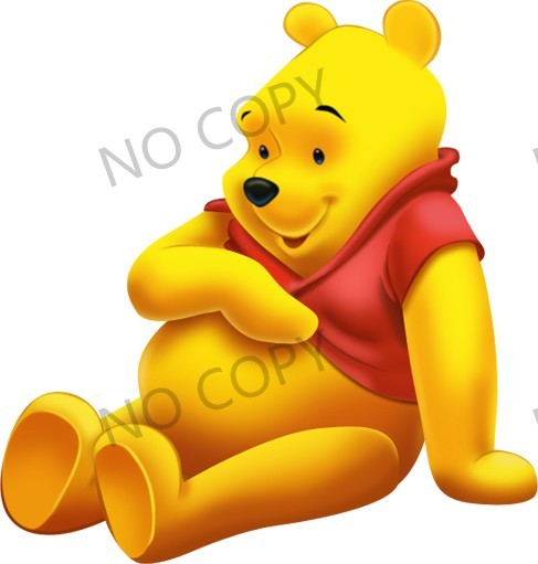 T11578-Winnie the pooh