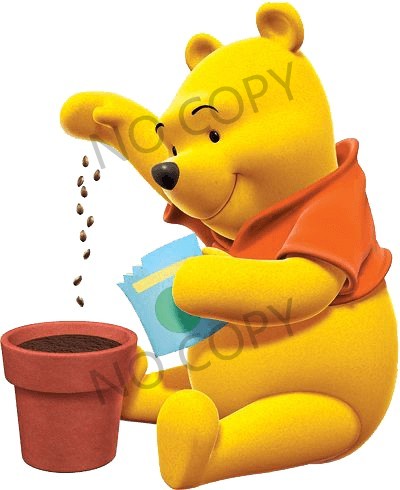 T11579-Winnie the pooh