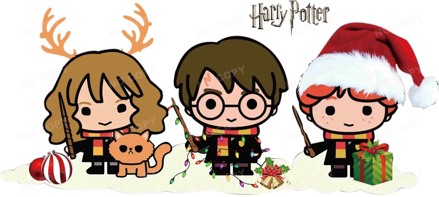 Y0934-Harry Potter