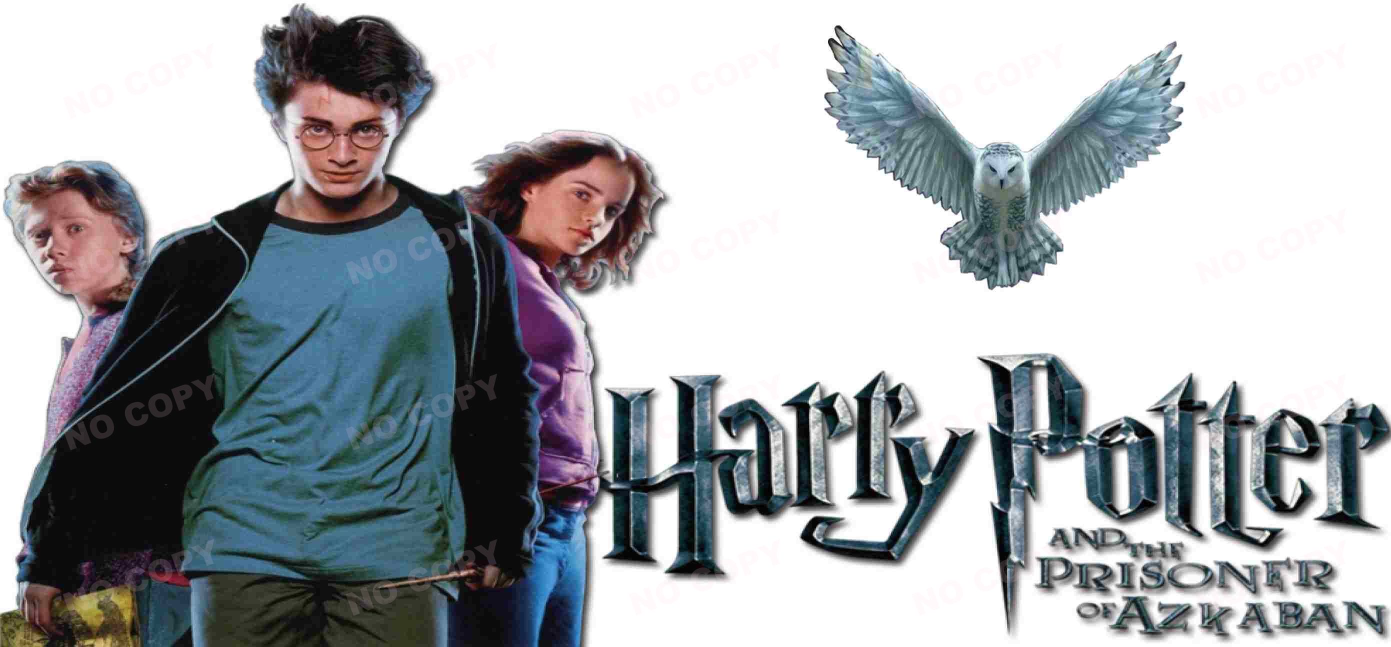Y0937-Harry Potter