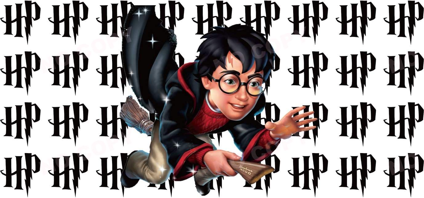 Y0951-Harry Potter