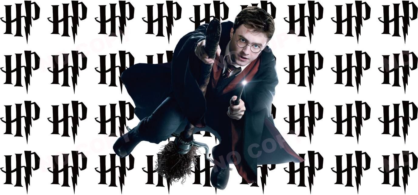 Y0953-Harry Potter