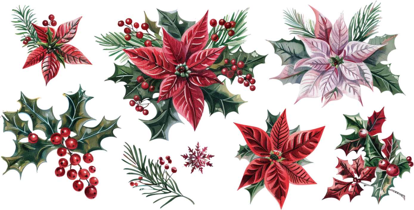 Y10116-Christmas