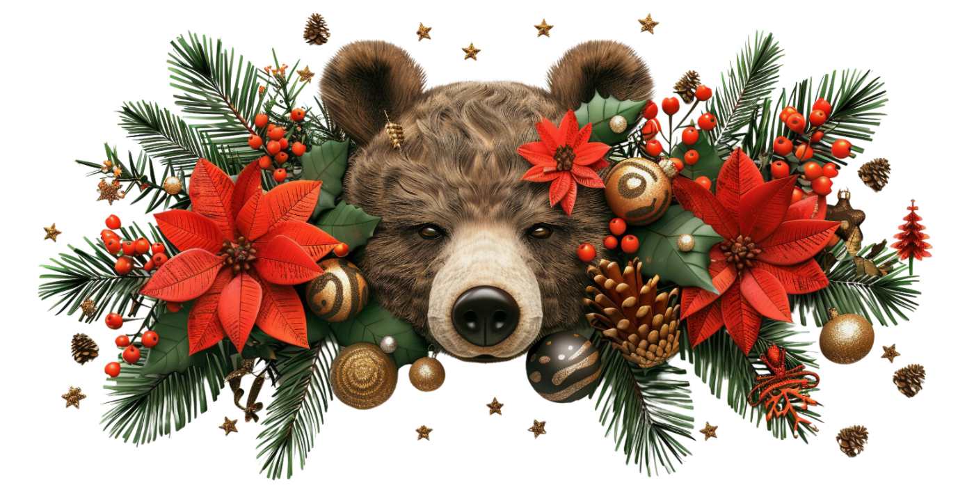 Y10141-Christmas