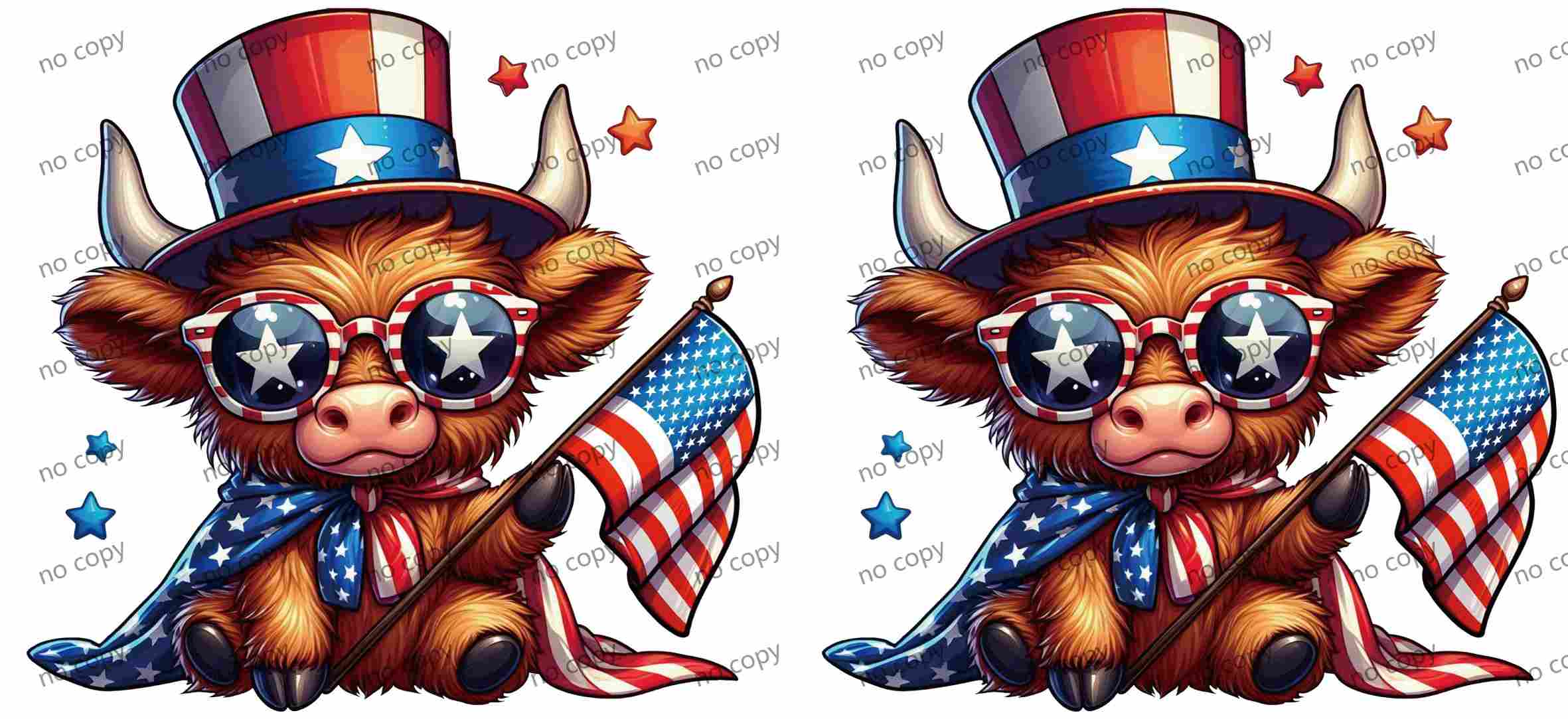 Y10893-America