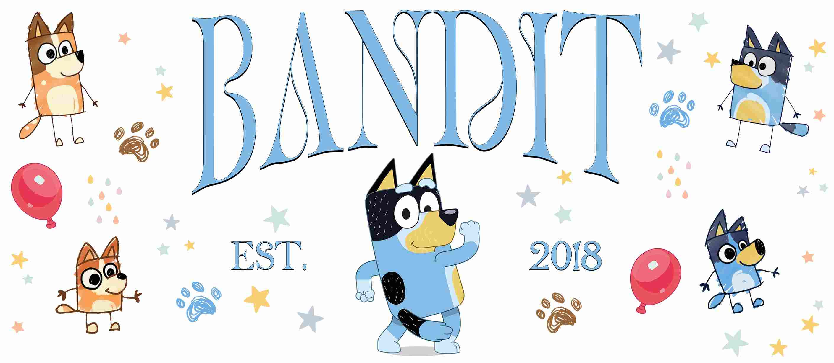 Y10973-Bluey
