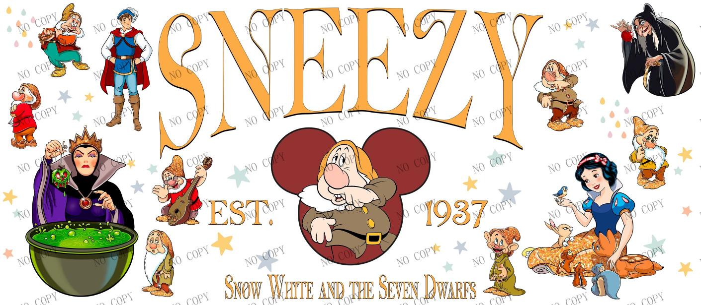 Y11006-Disney
