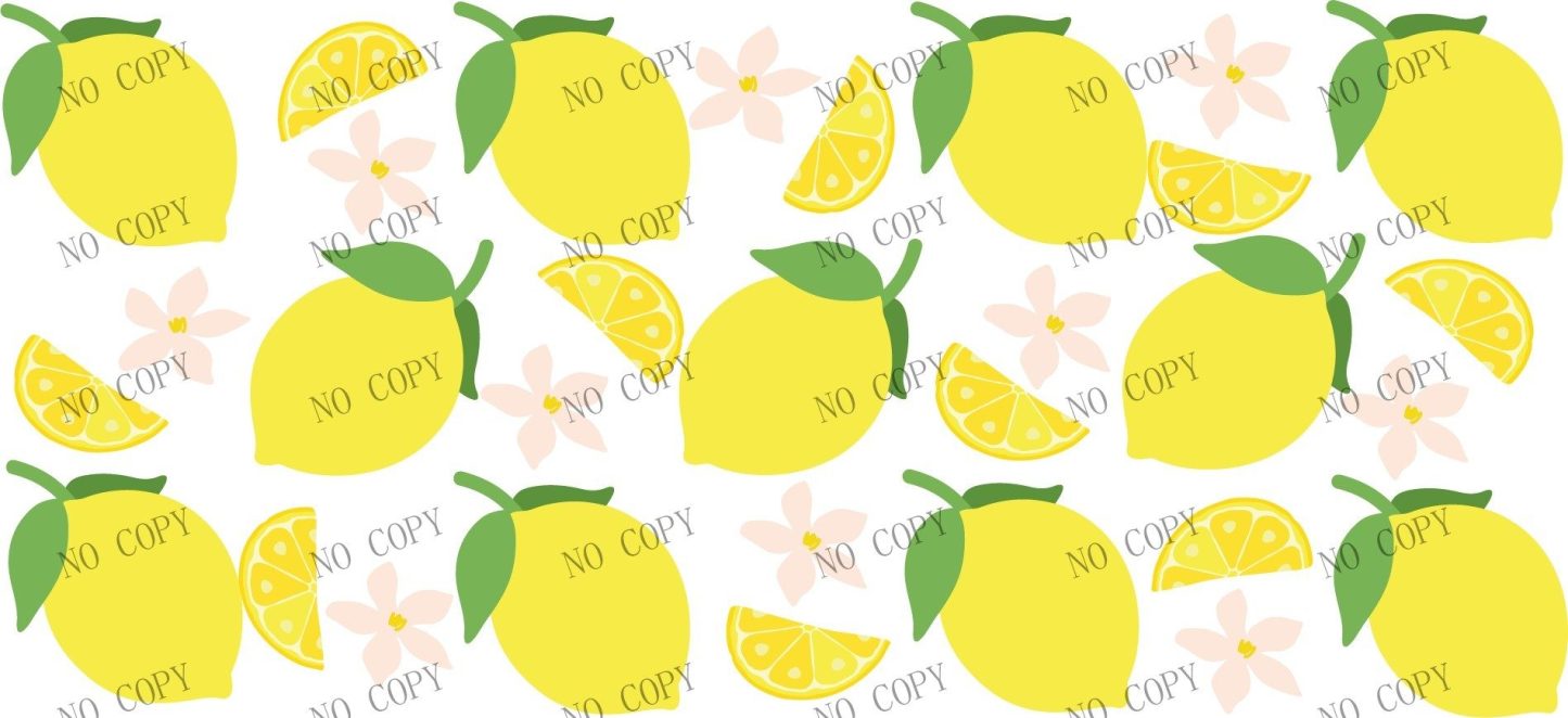 Y11093-Food
