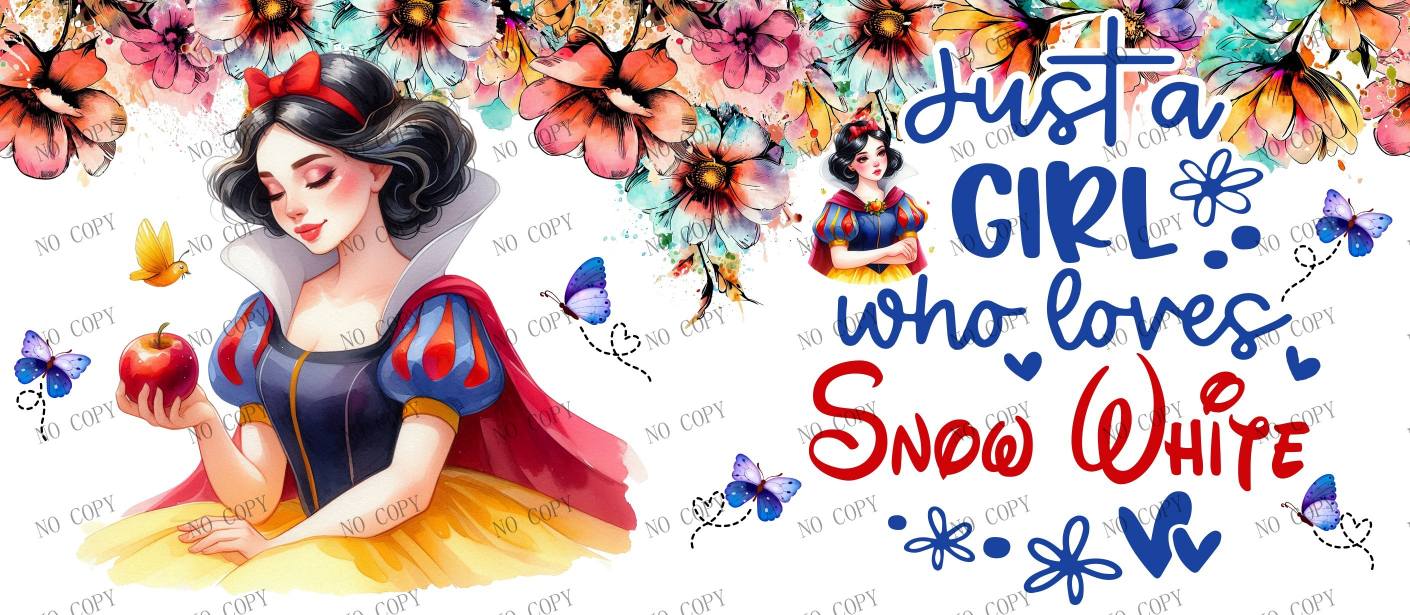 Y11617-Disney