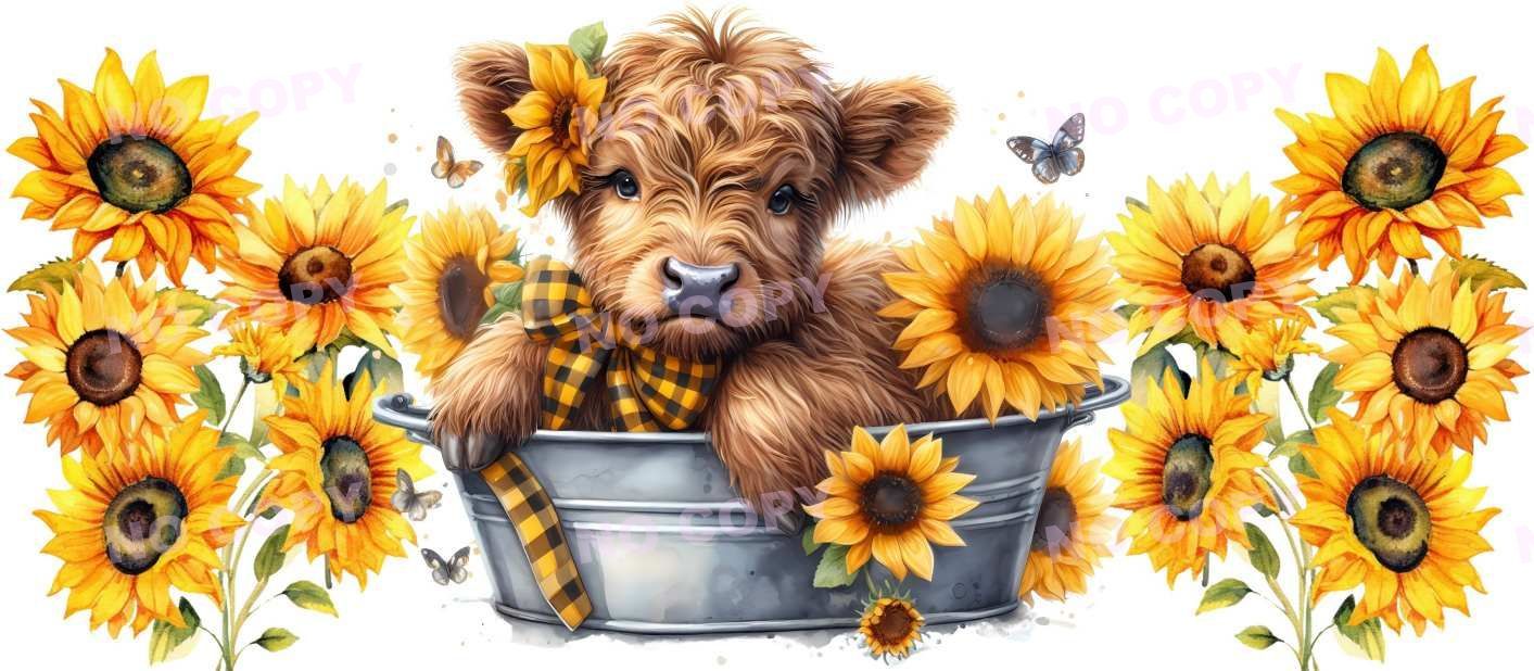 Y11672-Highland Cow