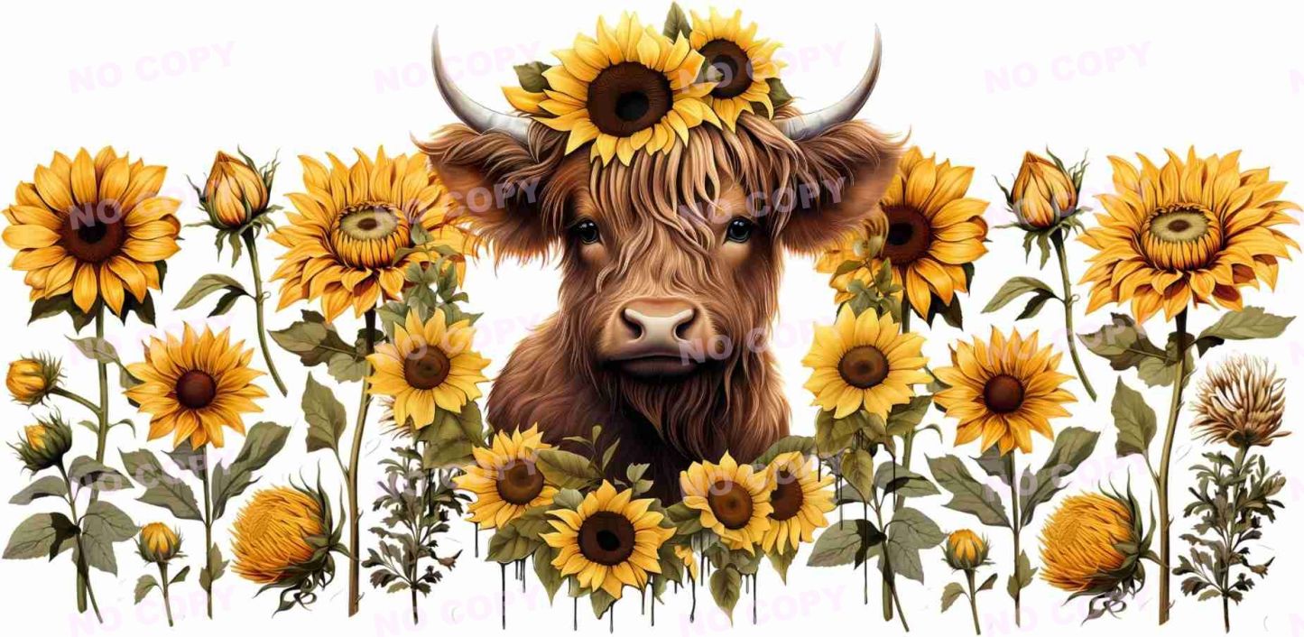 Y1334-Highland Cow