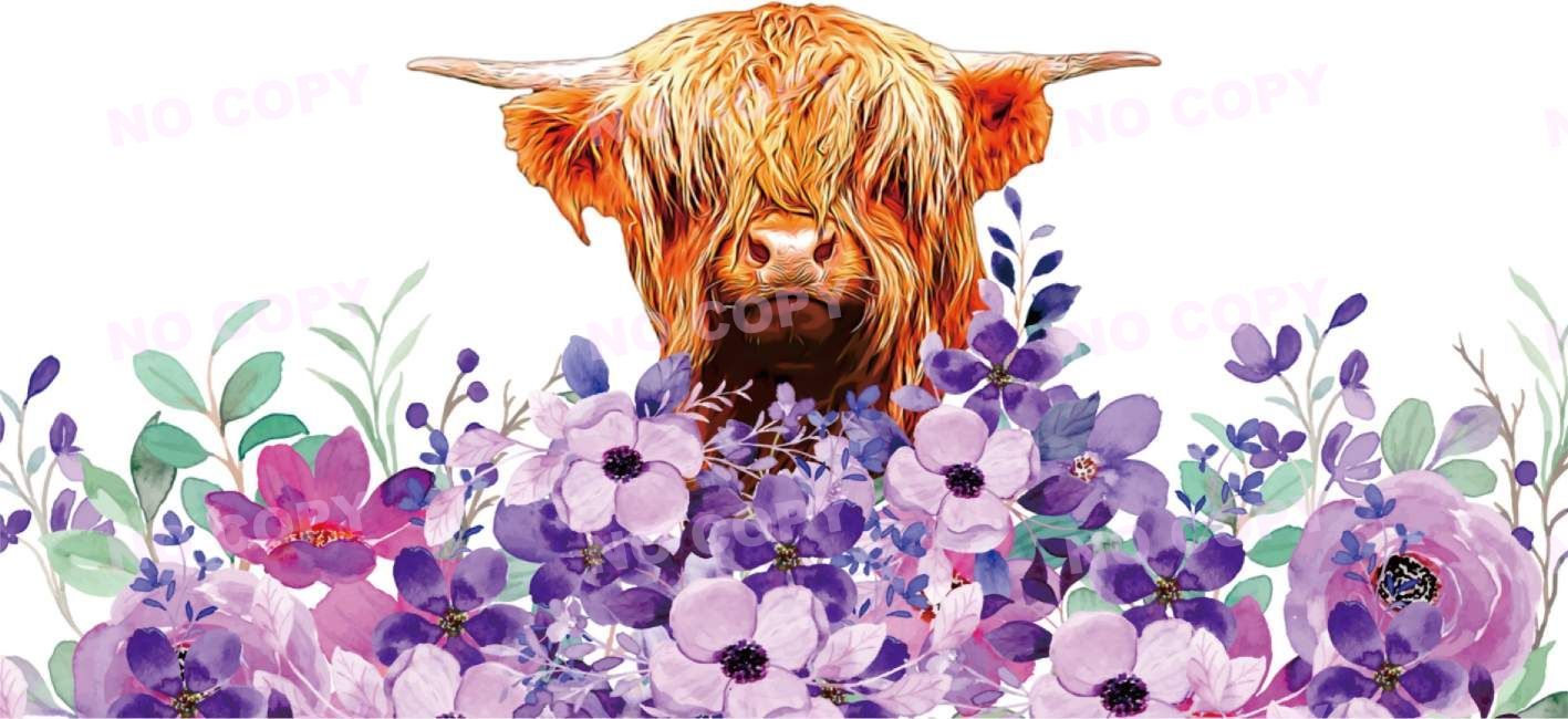 Y1336-Highland Cow
