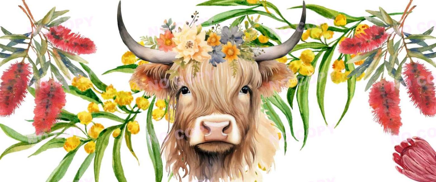 Y1341-Highland Cow