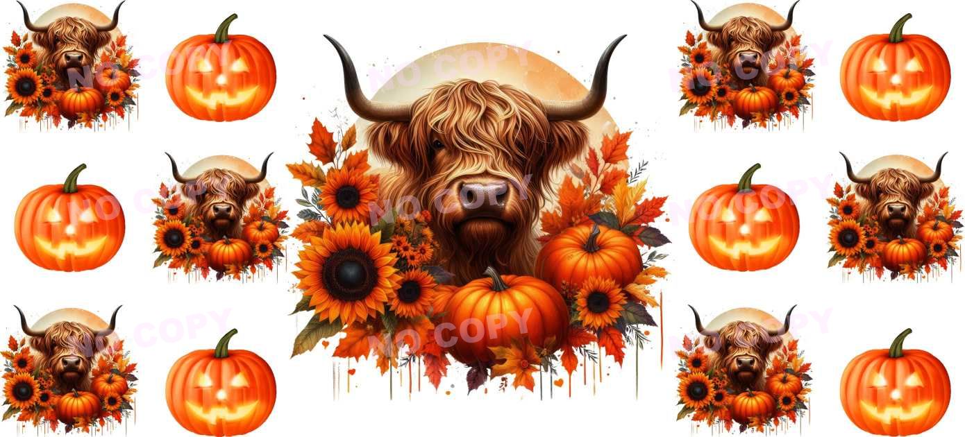 Y13793-Highland Cow